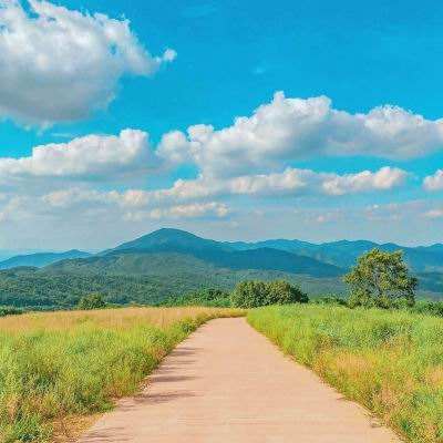 365be体育官方网站