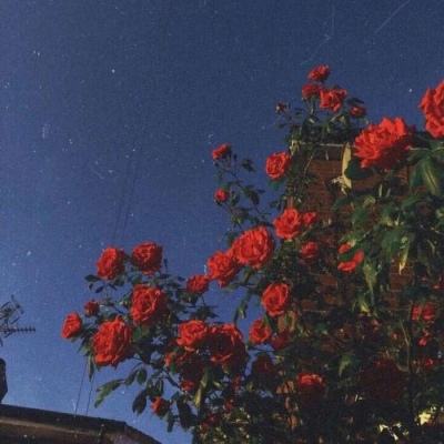 云开全站登录appkaiyun