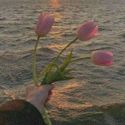 太阳集团电子游戏