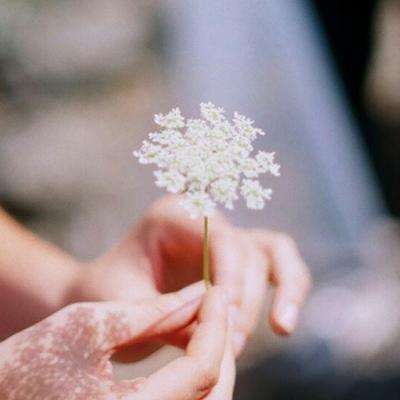 开云集团下载手机版