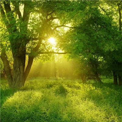 半岛app下载入口截图