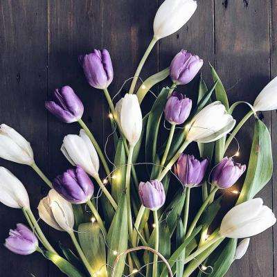 NG体育·(南宫)app下载